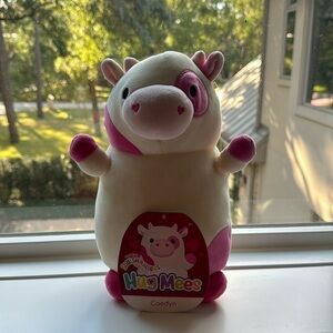 Caedyn hugmee Squishmallow